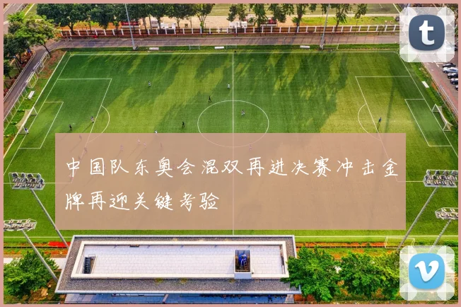 中国队东奥会混双再进决赛冲击金牌再迎关键考验