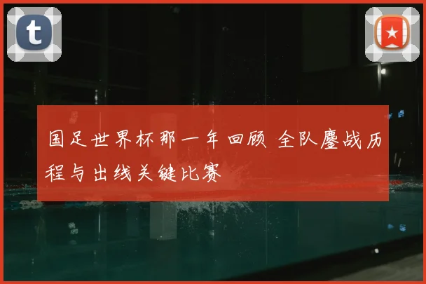 国足世界杯那一年回顾 全队鏖战历程与出线关键比赛