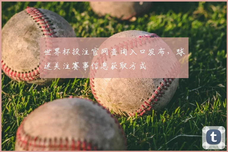 世界杯投注官网查询入口发布，球迷关注赛事信息获取方式